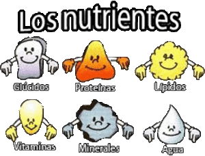 nutrientes basicos alimentacion basica Guía Medica Familiar